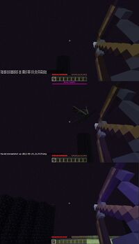 Enderdrachen Bug