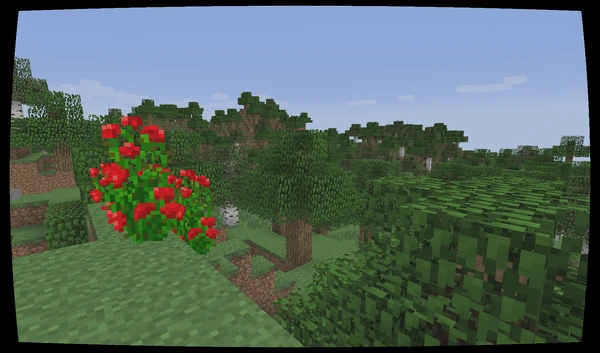 Shader-Scan pincushion