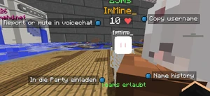 LabyMod Spielermenü Ingame