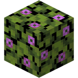 Blühendes Azaleenlaub(schnell)