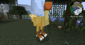 Chocobo