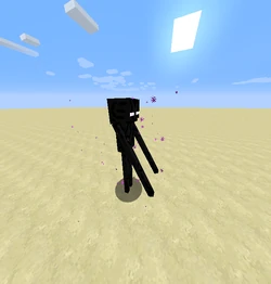 Enderman Barrier