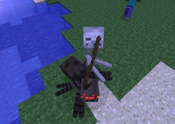 Spinnenreiter Glitch