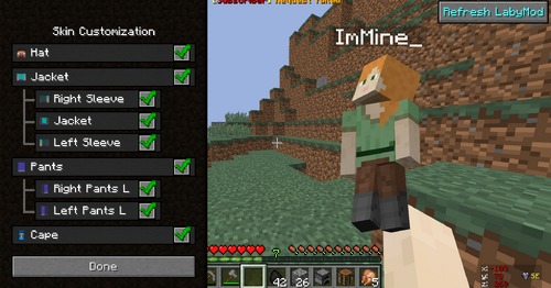 LabyMod verbesserte Skin-Anpassung Ingame