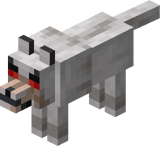 Wolf Aggressiv