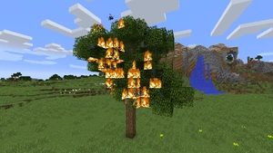 Feuer Baum2