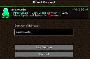 LabyMod Direkt verbinden Ingame