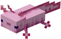 Pinker Axolotl