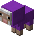 Violettes Lamm