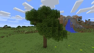 Feuer Baum1