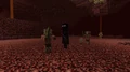 Das erste Bild eines im Nether gespawnten Enderman[2].
