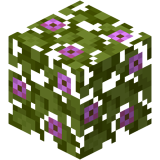 Blühendes Azaleenlaub