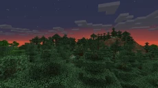 Die Abendröte über einer Taiga