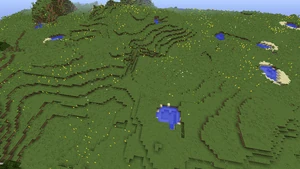 Gewächs Sonnenblume