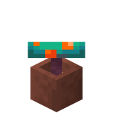 Eingetopfter Wirrpilz