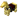 Goldener Rossharnisch 17w46a