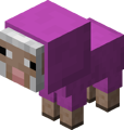 Magenta Lamm