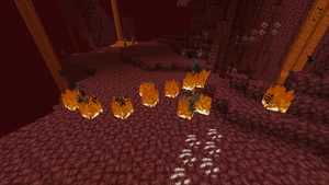 Struktur Netherfeuer