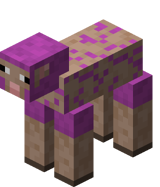 Magenta Schaf Geschoren