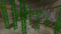 Ranken | Minceraft Wiki | Fandom