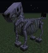MC Skelettpferd