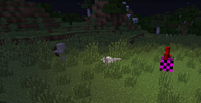 Banner-14w10a