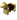 Goldener Rossharnisch 18w03a