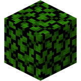 Akazienlaub(schnell)