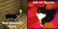 Die Katze von Jeb ähnelt der schwarz-weißen Katze in Minecraft