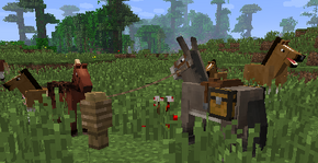 Banner-13w21a.png