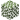 Birkenlaub