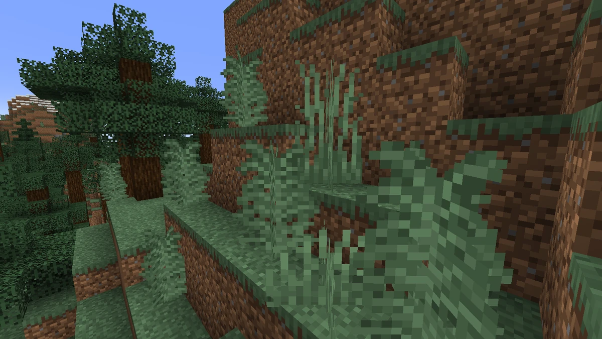 Farn | Minceraft Wiki | Fandom