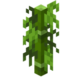 Bambus kleine Blätter