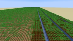 Ackerboden Bewässerung