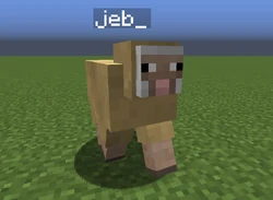 Heißt ein Schaf jeb_, dann wechselt es die Woll-Farbe mit fließenden Übergängen zwischen den Farben.