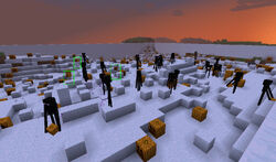 Schneegolem Endermen