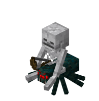 Spinnenreiter Höhlenspinne