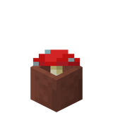 Eingetopfter roter Pilz