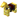Goldener Rossharnisch