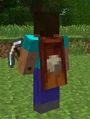 MineconCape4.png