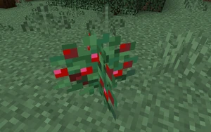 Süßbeerenstrauch einzeln