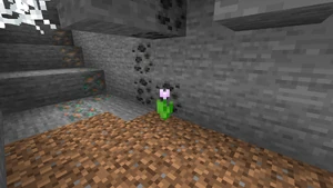 Gewächs Höhlenblume