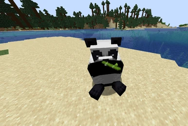 Kder | Minceraft Wiki | Fandom