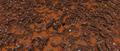 Das Banner der 18w16a