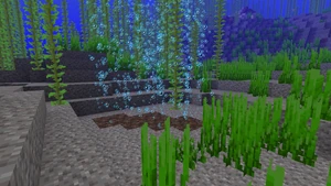 Seelensand Luftbläschen