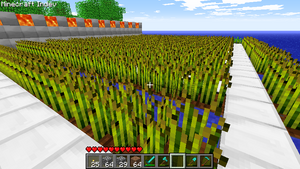 Tutoriales Cultivo De Trigo El Oficial Minecraft Wiki