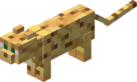 Ocelot