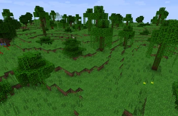Jungle Edge