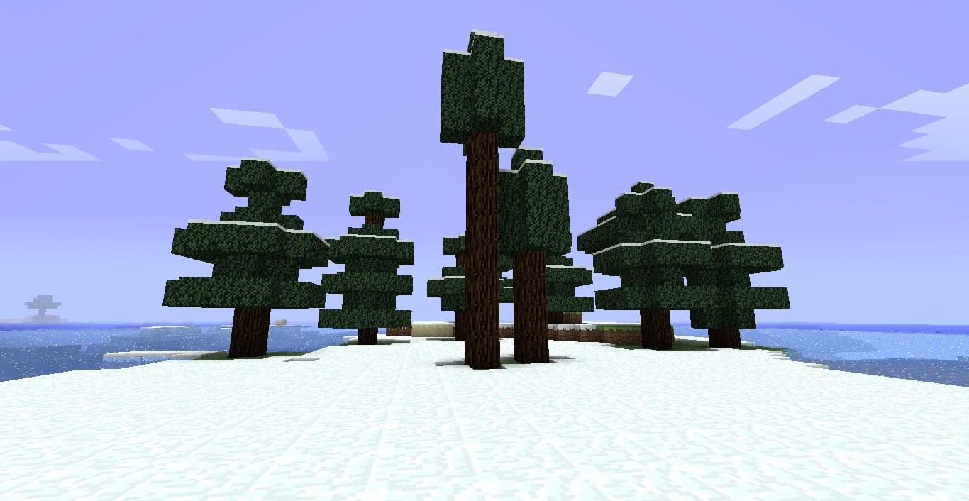 Bunch of birch trees
