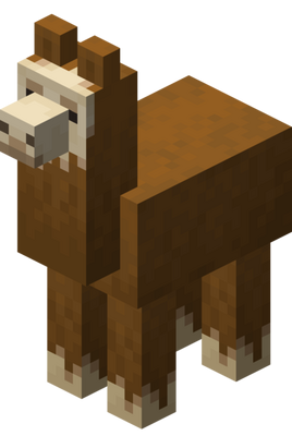 Llama marrón 